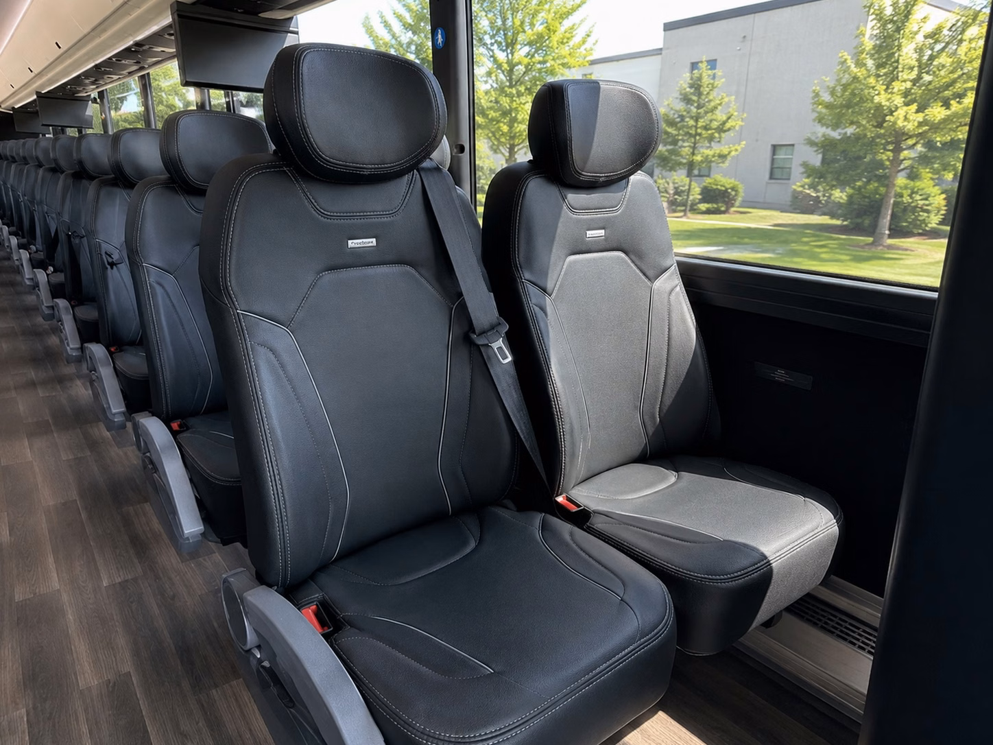 college sports boxing and ufc fan transportation near daly city